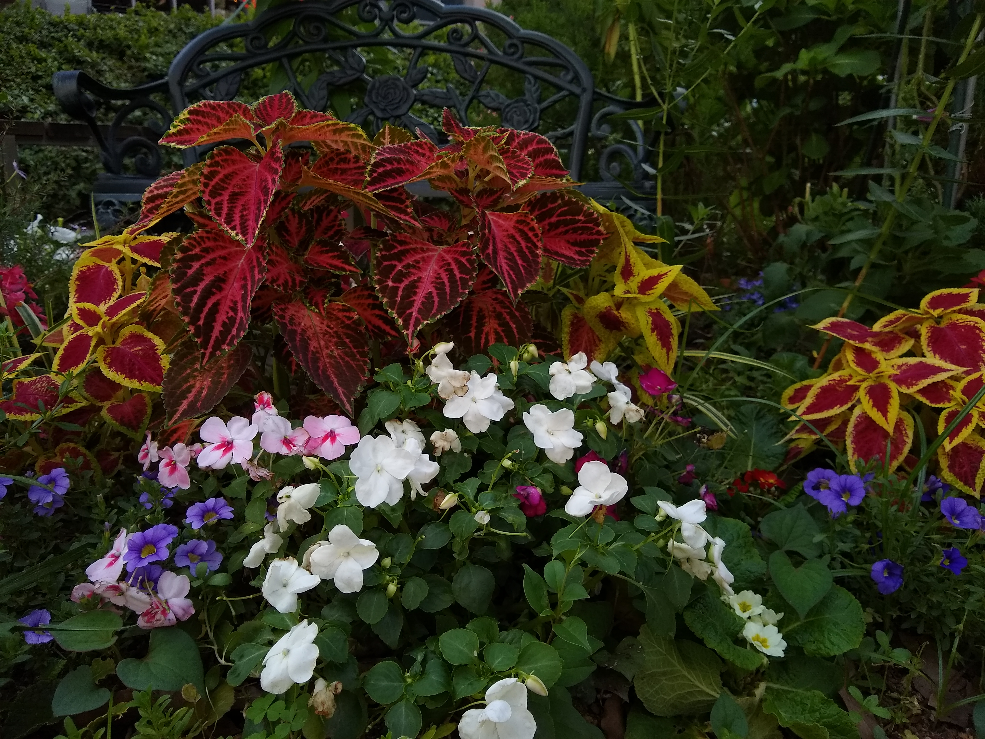 比較的青っぽい写真になるが、シャープさは悪くない