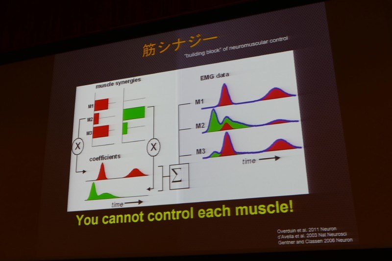 重要なことは筋肉の協調「筋シナジー」