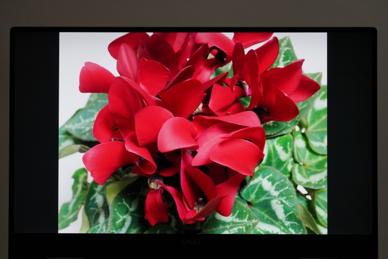 Adobe RGB カバー率100%の高色域、1,500:1のコントラスト比が謳われている