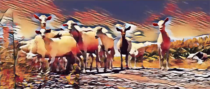 絵画風の絵が撮影できるアートフィルタ