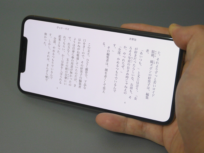 純正アプリであるApple Booksからして、頑なに上部にタイトル、下部にノンブルを表示するため天地が窮屈に感じられたりと、横向き表示は考慮されていないようだ