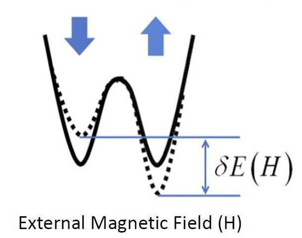 電子のスピン状態とエネルギー状態、外部磁界による変化。縦軸はエネルギーの高さ、左の底がダウンスピン、右の底がアップスピンである。当初、両者のエネルギーの高さは等しい。外部磁界の印加によってエネルギー状態は実線から点線へと変化する。ダウンスピンが上がり、アップスピンが下がる。ダウンスピンからアップスピンへの移行が促される。この結果、アップスピンの電子が増え、ダウンスピンの電子が減る。図面はWestern Digitalが2018年8月に開催されたイベント「MRAM Developer Day」で発表した講演スライドから