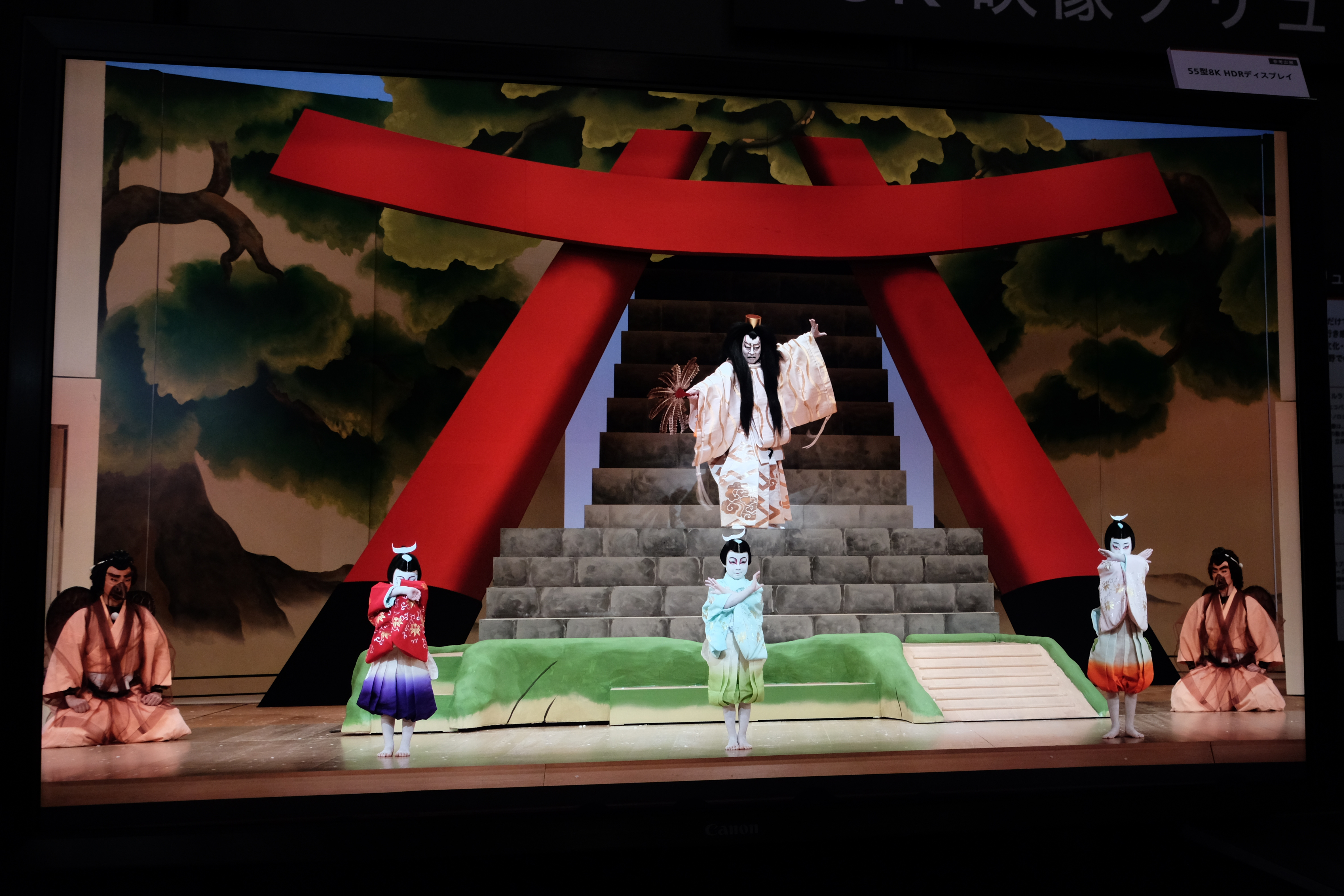 55型8K液晶ディスプレイ