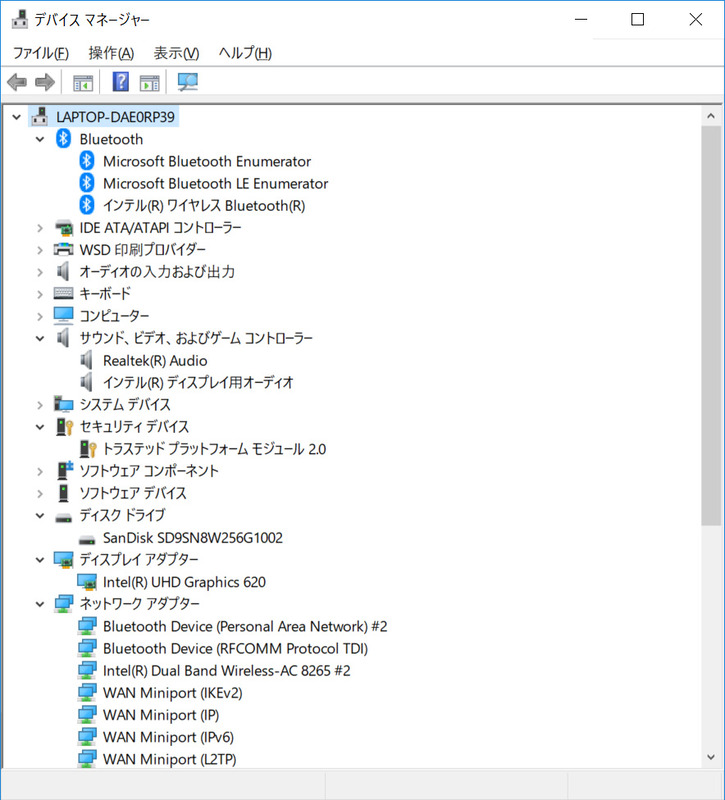 デバイスマネージャ/主要なデバイス。ストレージはSSD 256GBのSanDisk「SD9SN8W256G」。Wi-FiとBluetoothはIntel製