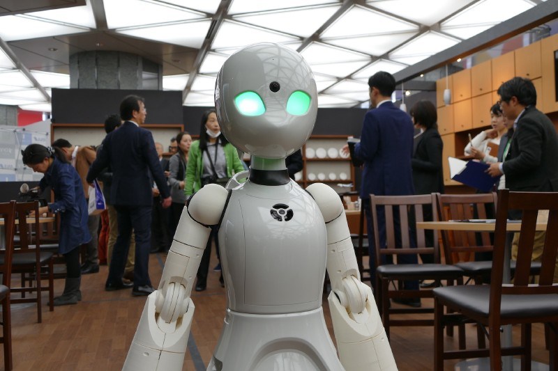 「OriHime-D」。オリィ研究所インターンの学生が作った