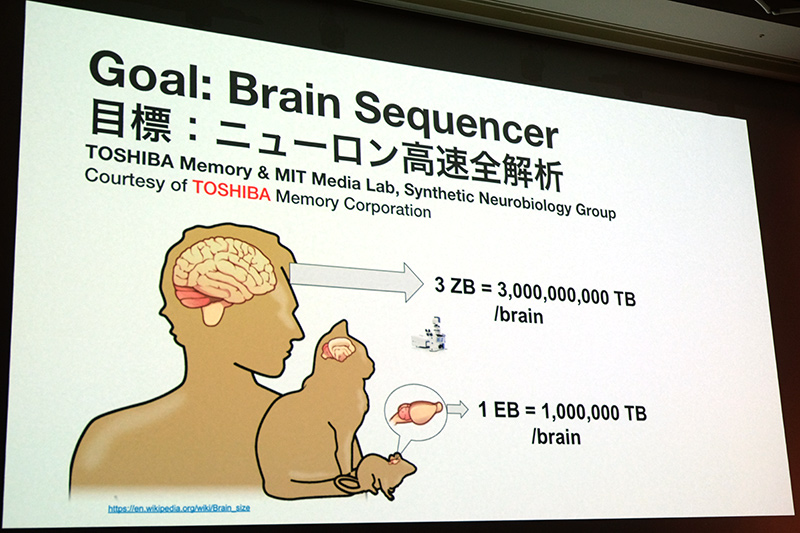 ニューロンシーケンシャー(高速全解析)