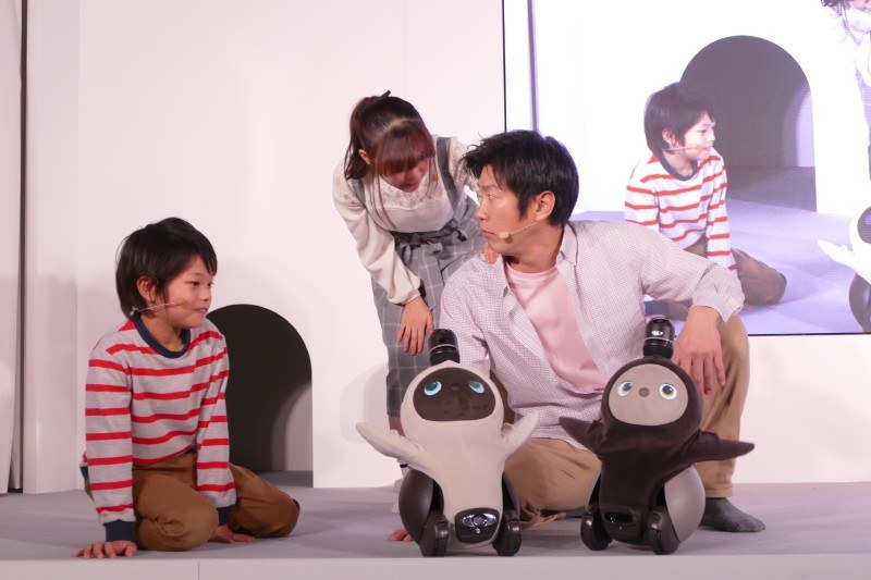 2体セットで販売される