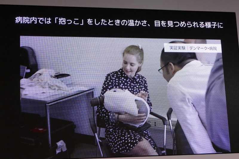 デンマークでの実験映像