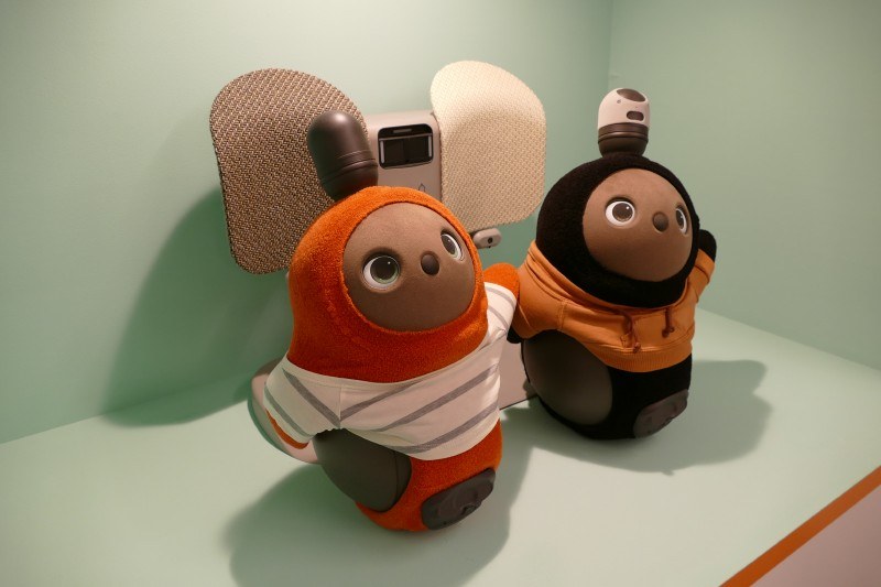 ベースカラーはこげちゃ、ちゃ、うすちゃ。そのほかカラーバリエーションやオプション品も製品化予定