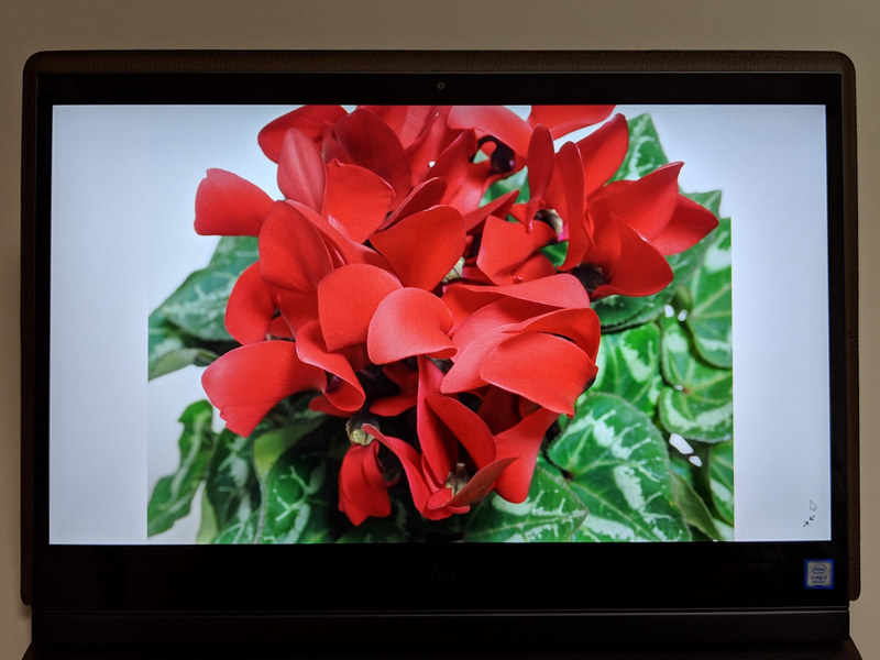 現在日本で販売されているのはフルHD解像度の13.3型IPS液晶ディスプレイのみ。色域は公表されていないが、発色は自然で癖がない。なおモアレは実際には見えない