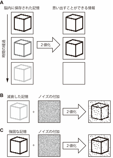 記憶回復のメカニズムは、画像の2値化に似ているという