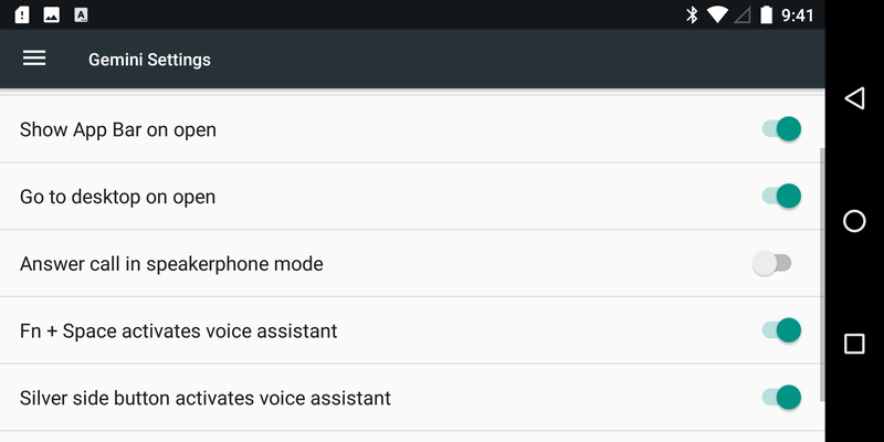 設定/Gemini Settings