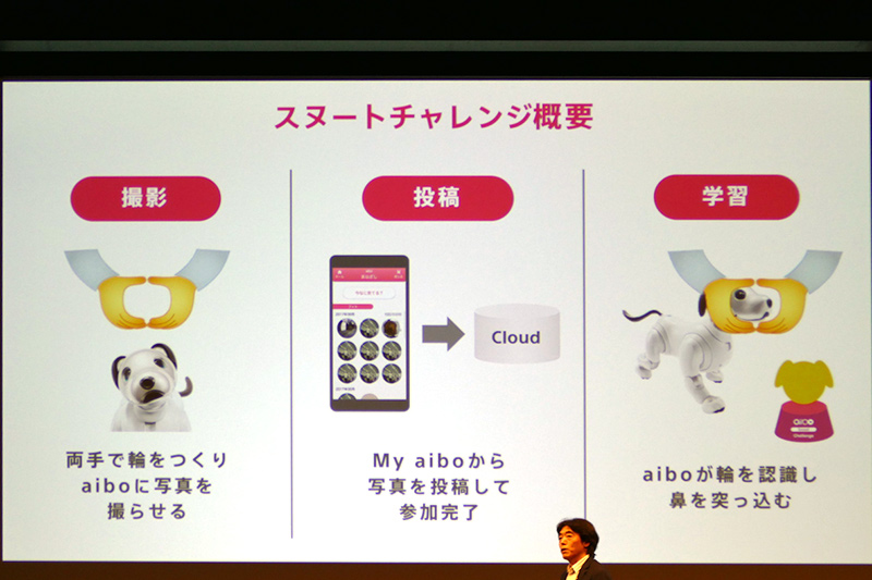 スヌートチャレンジ概要