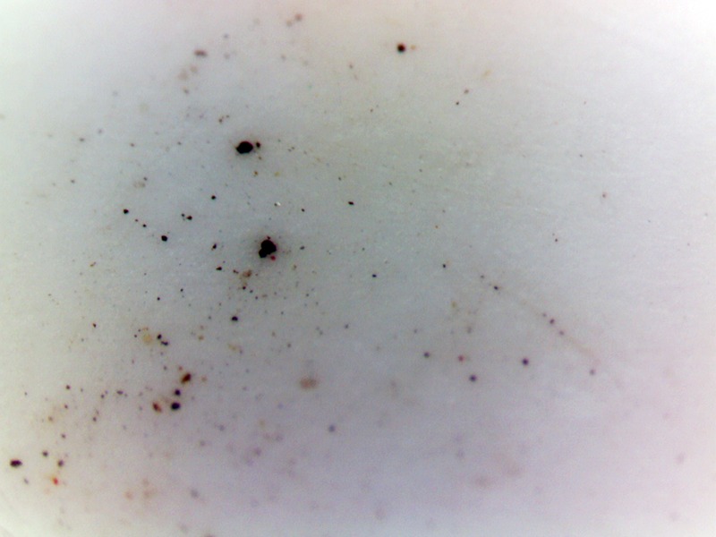 約1年使ったマウスのフッ素樹脂製ソール。おうとつが磨り減ってぺったんこになっている上に、ごみも詰まっている