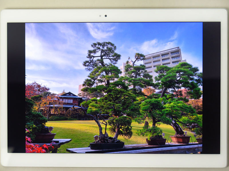 とにかく発色が鮮やかで美しい