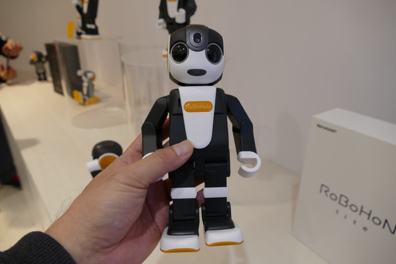 持ち歩けるロボットの時代は来るか