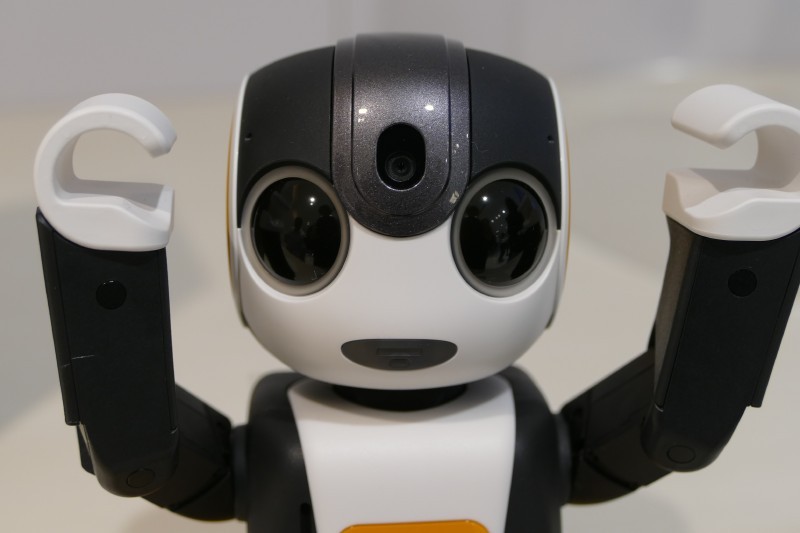 頭部に搭載されていたプロジェクタは省略された