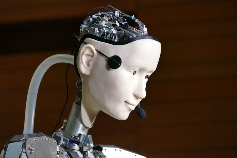 頭部を側面から