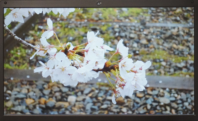 IPSパネルを搭載しており、デジタルカメラの画像などは美しく表示できる