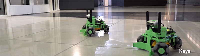 ロボットのリファレンスデザインKAYA