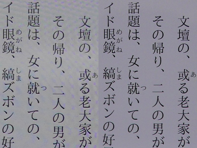 テキストの画質比較。左が本製品、右がPixel 3 XL。撮影時のモアレのせいでややシャープさに欠けているが、ルビや複雑な漢字を見ても描写力の大きな違いは感じられない