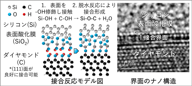 接合反応のメカニズム(左)と透過型電子顕微鏡で観察した接合界面(右)