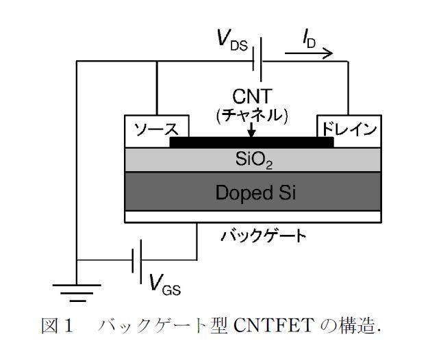 バックゲート型CNFETの構造模式図。出典 : 石井、岸本、大野、水谷、「カーボンナノチューブ電界効果型トランジスタの金属電極における大気の影響」、『まてりあ』、第52巻、第6号、pp.266-272、2013年