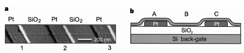 Delft University of Technology(デルフト工科大学)が1998年に初めて室温動作に成功したCNFETの断面構造。カーボンナノチューブが白金(Pt)電極と二酸化シリコン(SiO2)膜(ゲート絶縁膜)の上に被さっている。Delft University of TechnologyがNature誌に発表した<a href="https://www.nature.com/articles/29954" class="n" target="_blank">論文</a>から