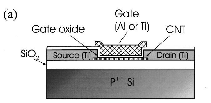 トップゲート型CNFETの構造模式図。IBMが2002年5月にApplied Physics Letters誌で発表した<a href="https://aip.scitation.org/doi/10.1063/1.1480877" class="n" target="_blank">論文</a>から
