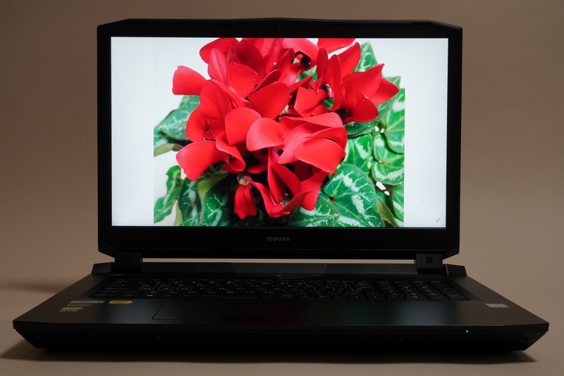 本製品にはAdobeRGB比100％を謳う4Kディスプレイ(3,840×2,160ドット、255ppi、LEDバックライト、非光沢)が標準で搭載