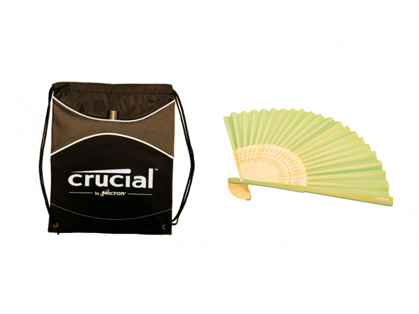 オリジナルバッグ(左)と扇子(右)