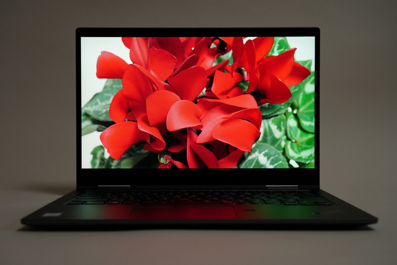 もっとも安価なフルHD液晶ディスプレイでも赤や緑の階調が豊かに表示される。なおモアレは実際には見えない