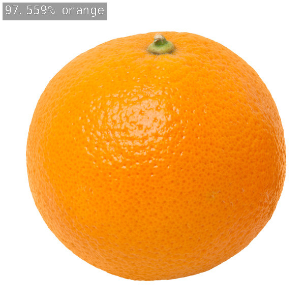 出力画像 / 97.559%でorange