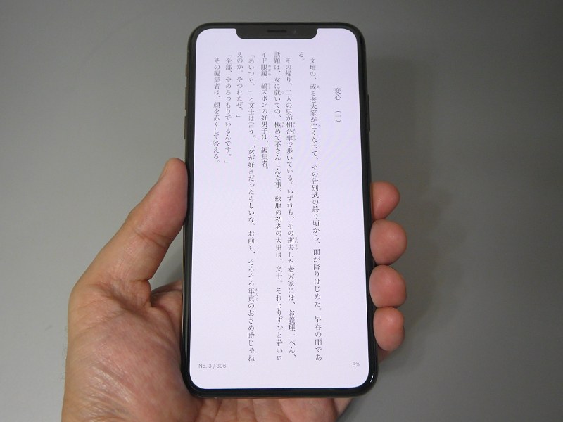 テキストを表示した状態。ストアによってはノッチの下ギリギリまでテキストを表示でき、1画面あたりの情報量は同等サイズのスマートフォンより多めだ