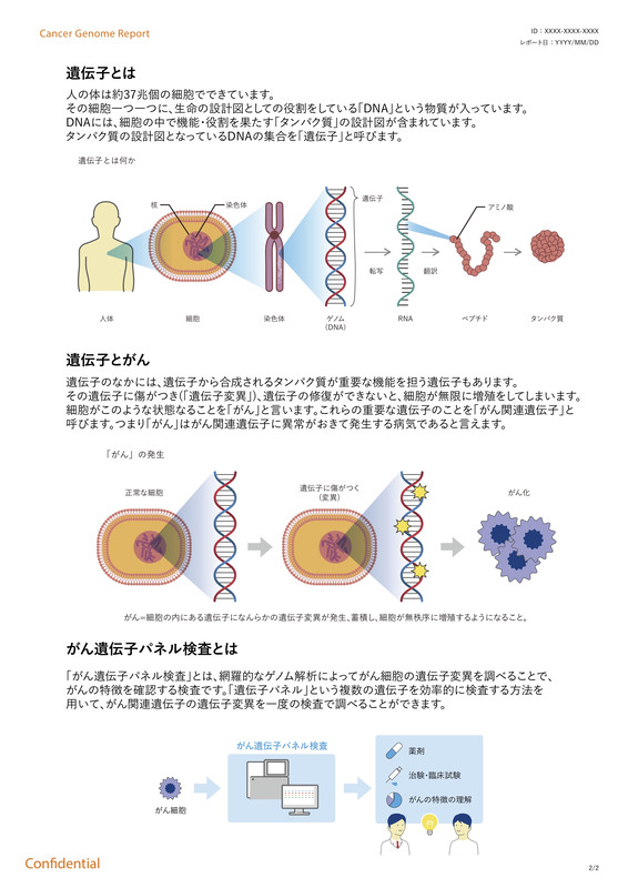 患者向けレポートでは遺伝子やがんに関するわかりやすい解説をつけている