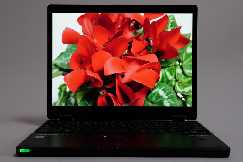 色域が広いとは言えないQV8だが、発色に癖があるわけではないので、一般的な用途であればとくに不便に感じることはない