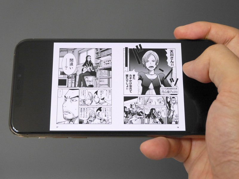 高精細ゆえ見開き表示でも細かい文字が十分に読み取れるが、いかんせんサイズが小さすぎて実用的ではない