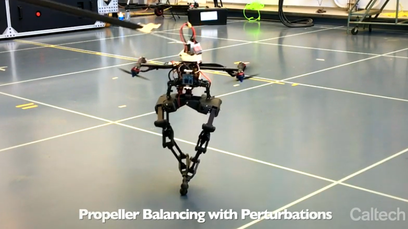 LEONARDO(LEgs ONboARD drOne)