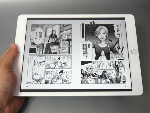 山岸　iPad 7世代✖️2 / 6世代2 ipad_7th_cell_gold_silver_6b48