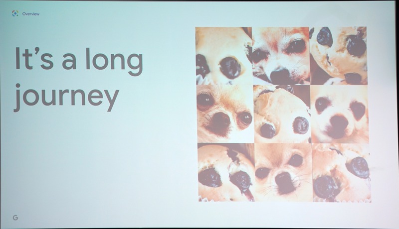 チワワとブルーベリーがついたパン