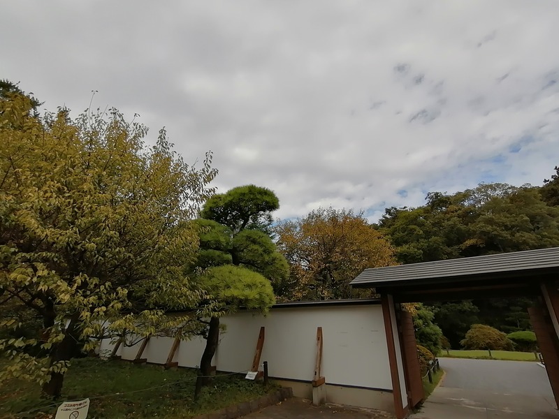 超広角(35mm換算17mm)