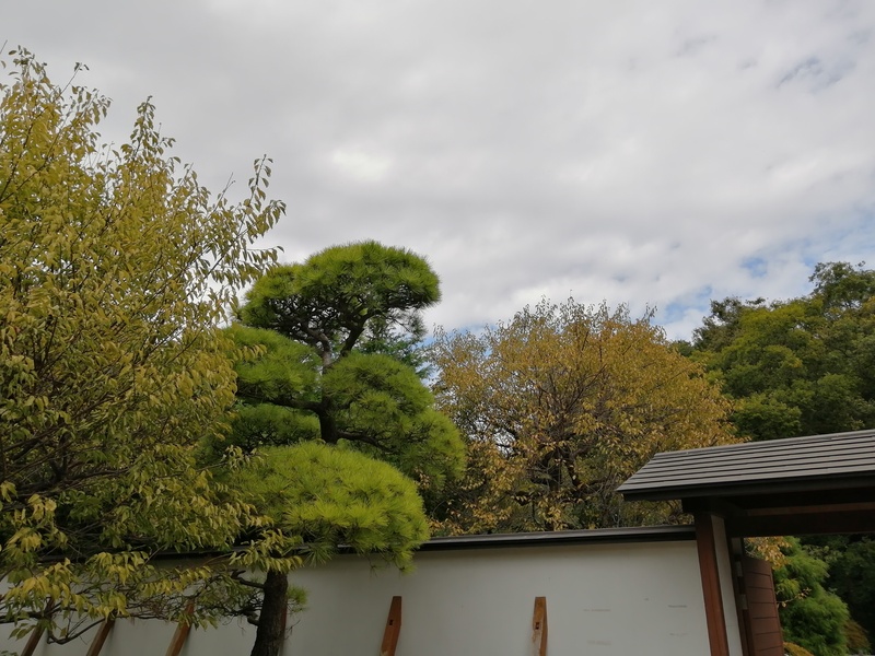 広角(35mm換算27mm)