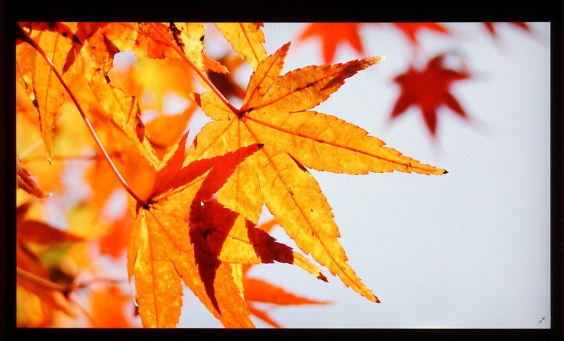 写真では伝わりにくいのだが、映像の表示能力は非常に高い