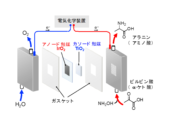 フロー型アミノ酸合成電気化学セルの構成
