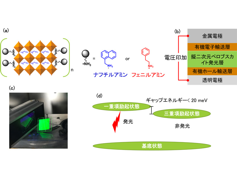 (a)擬二次元ペロブスカイトの構造、(b)研究で用いられたペロブスカイトLEDの構造、(c)紫外線照射によって形成された一重項励起状態が発光する様子、(d)ペロブスカイトLED内部での発光の仕組み