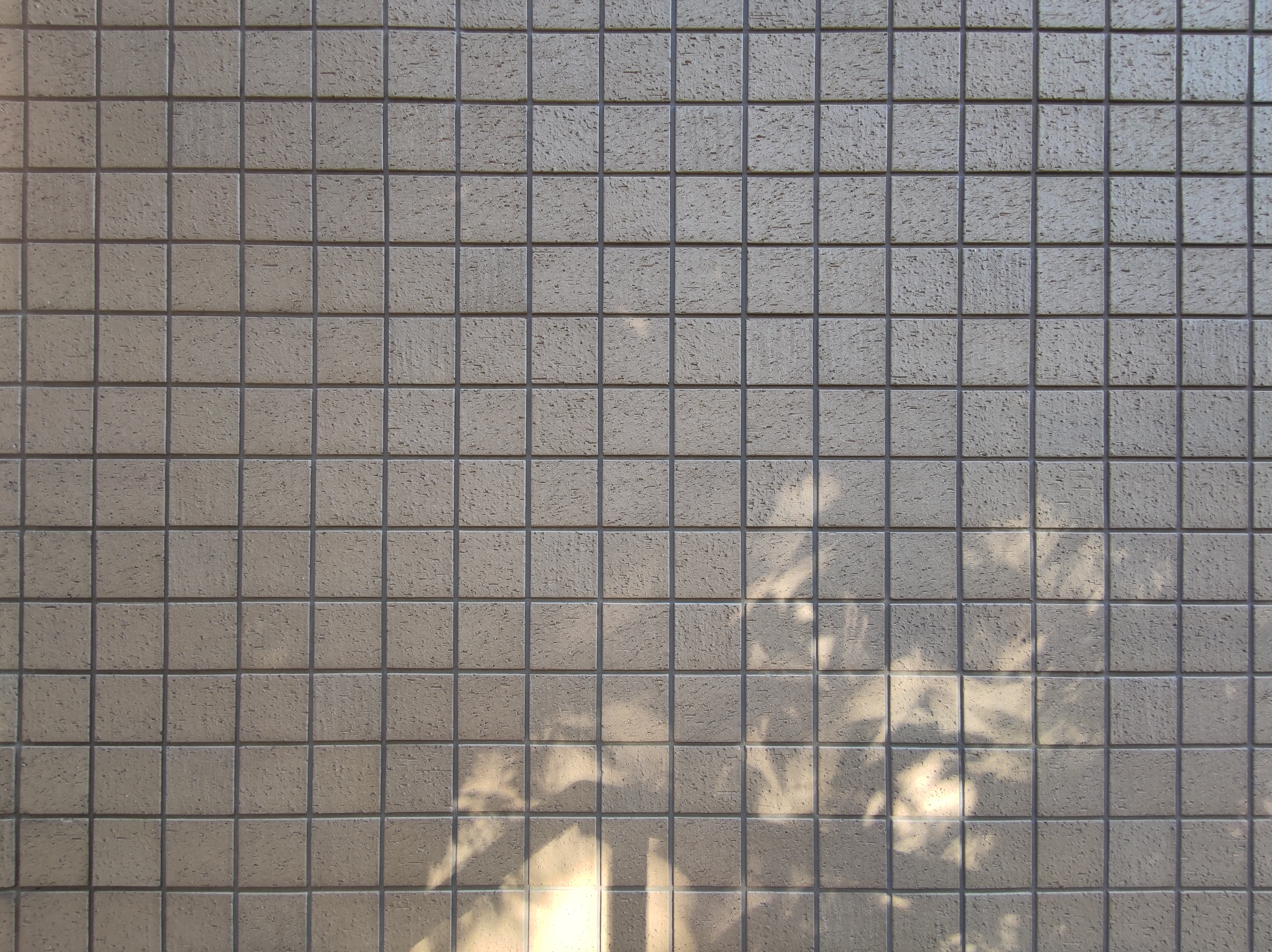 超広角レンズ(×0.6)。わずかな糸巻き型収差が確認できるが、非常に優秀だ