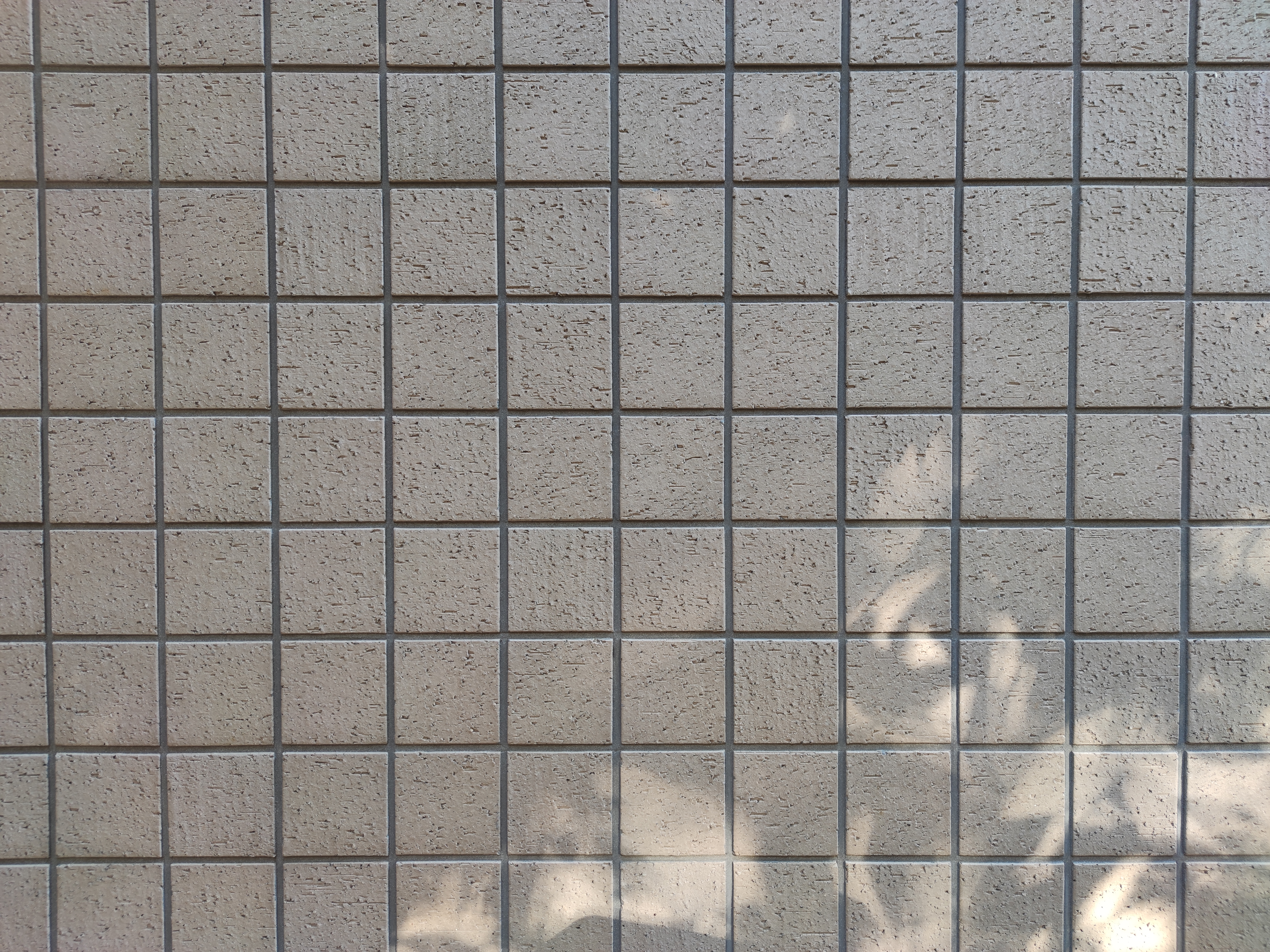 広角レンズ(×1.0)。歪曲収差が抑えられており気持ちいい