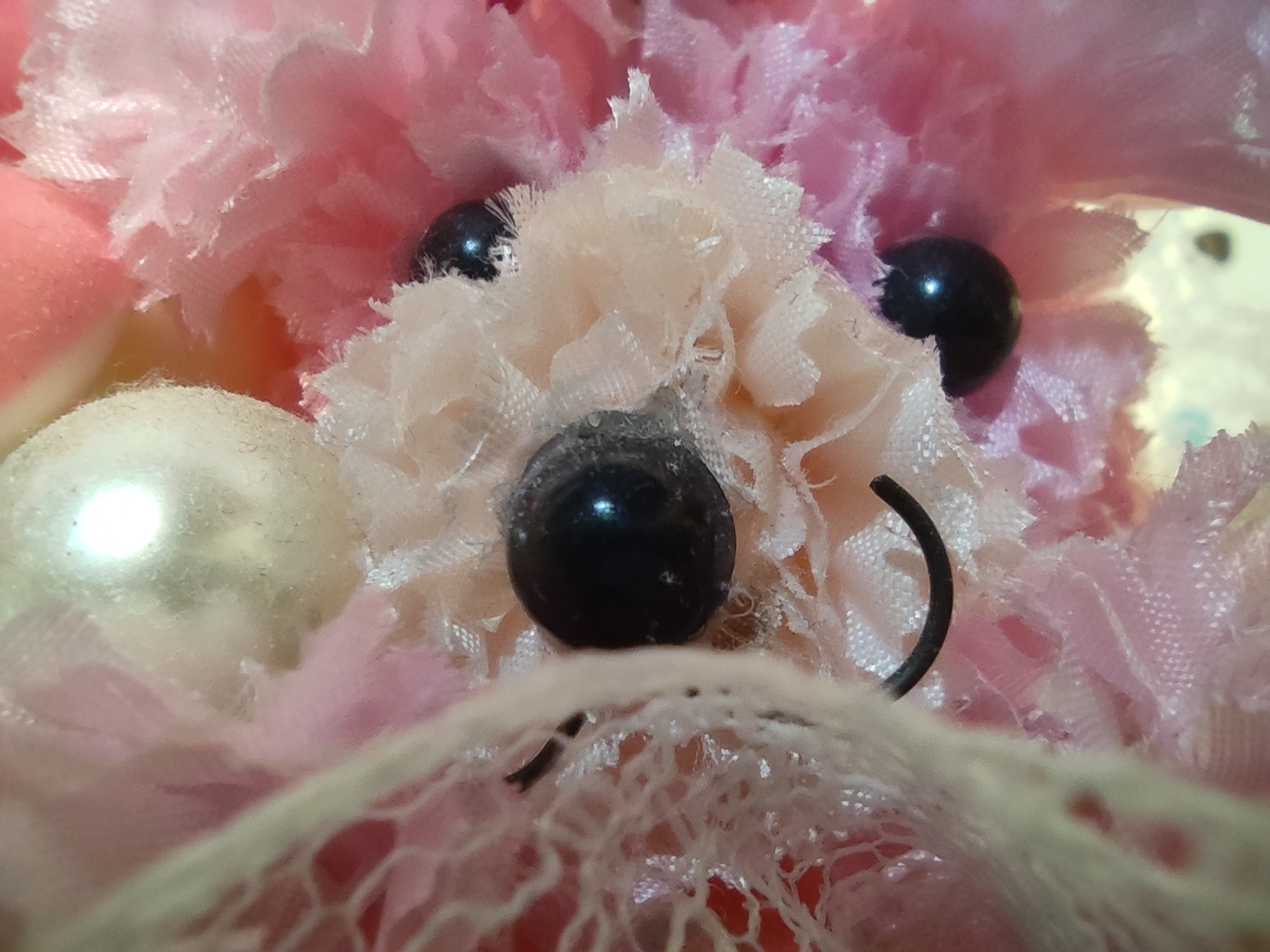 マクロレンズカメラの作例。200万画素だが、絵は悪くない