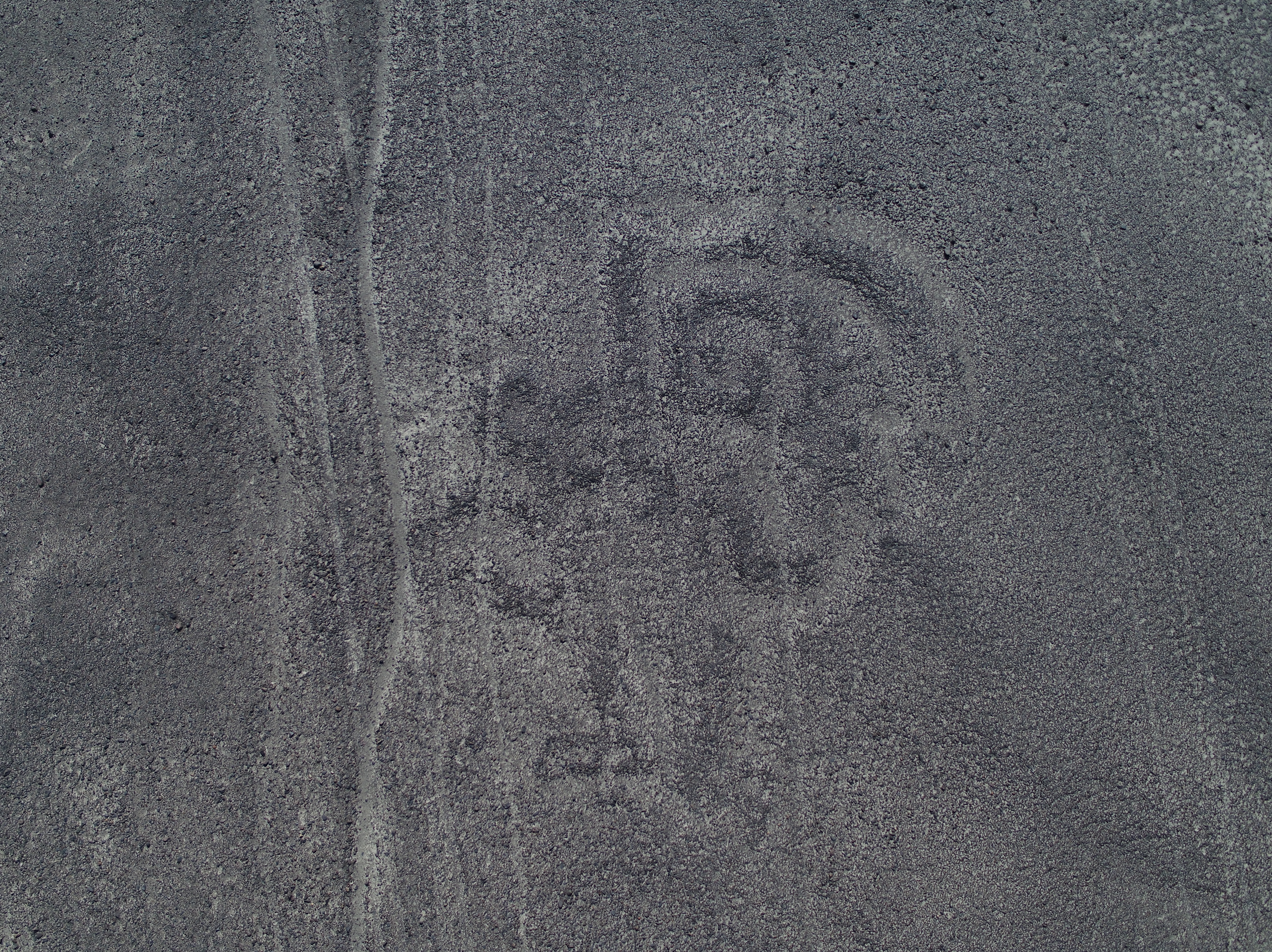 山形大学が発見した人型の地上絵(写真提供:山形大学)