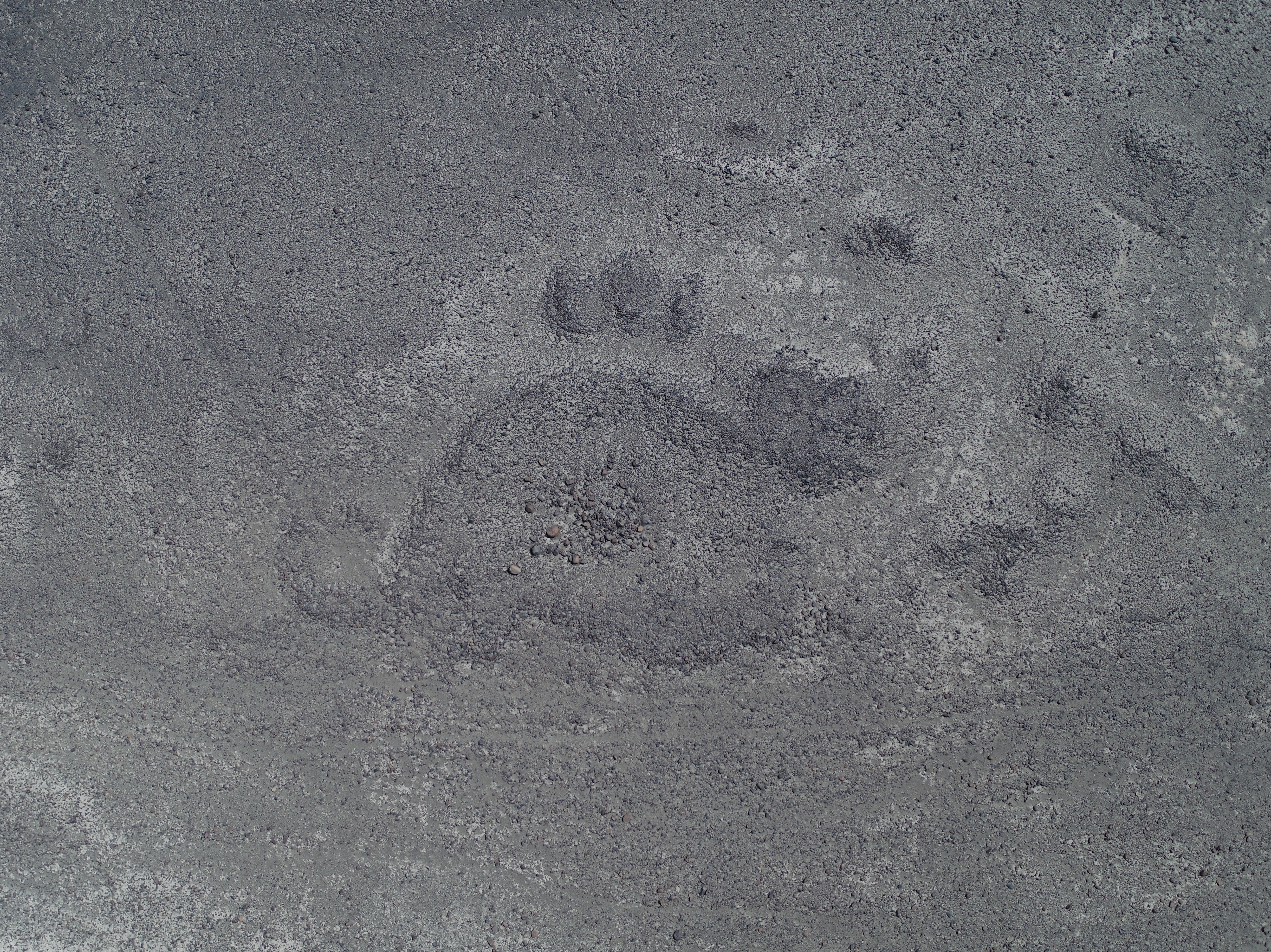 うさぎの形をした地上絵(写真提供:山形大学)